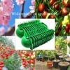 Markeny Reusable Plant Rooting Ball, Plant Propagation Root Ball Effective