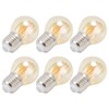 6Pcs Vintage LED Light Bulb Gold Glass Dimmable G45 E27