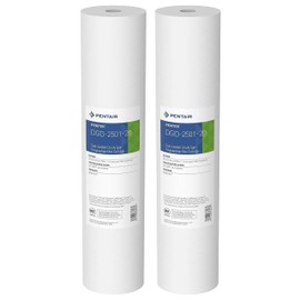 Pentair Pentek DGD-2501-20 Big Blue Water Filter, 20-Inch Whole House Sediment Filter Cartridge Replacement, Dual-Gradient Density Spun Polypropylene, 20" x 4.5", 1 Micron, Pack of 2, White