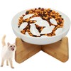 Jokapy Cat Bowl Ceramic Raised with Non-Slip Base Maze Interactive