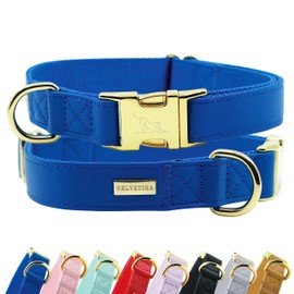 VELVETIER® Dog Collar | Stylish Dog Collar Made of Vegan Microfibre Leather | For Small and Large Dogs (M/L: 41 - 63 cm, Royal (Blue)
