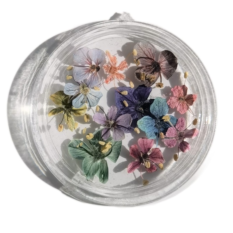 Set of 48 Handmade Mini Pressed Flowers, Dried Flowers, Small,