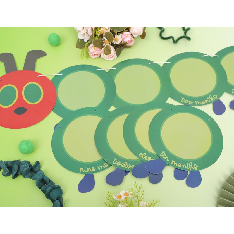 Hungry Caterpillar Monthly Milestone Photo Banner - Newborn to 12