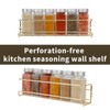 blueden 2 Pack Self Adhesive Wall Mounted Fridge Refrigerator Spice