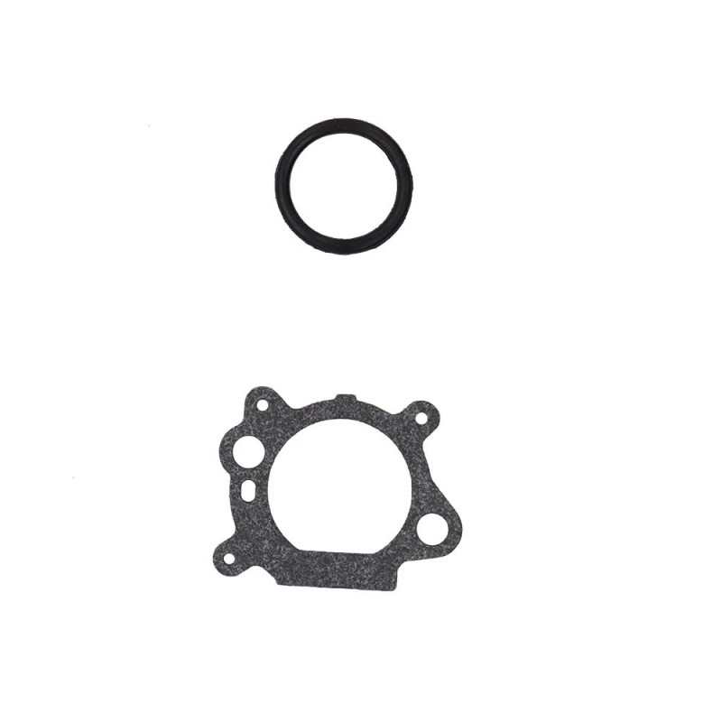 For Briggs and Stratton Carburetor For Briggs & Stratton 794304