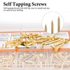 1660 Pieces M2 Small Screws Set, Small Wood Screws Set,