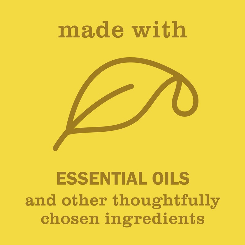 Mrs. MEYER'S Clean Day Liquid Hand Soap, Daisy Scent, 12.5