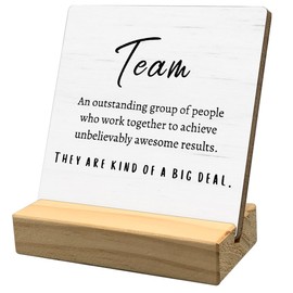 HONLUNG Team Definition Desk Sign, Office Decor, Team Gifts For Employees, Birthday Christmas Gifts For Boss Colleagues Friends