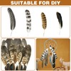 40Pcs Turkey Feathers for Crafting, Natural Pheasant Feathers Hat Feathers,