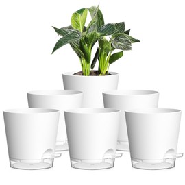Homeuouz Set of 6 Self Watering Pots - 6 Inch Flower Pot with Watering System, Matte Self-Watering Flower Pot for Balcony & Indoor Use, White with Clear Saucer