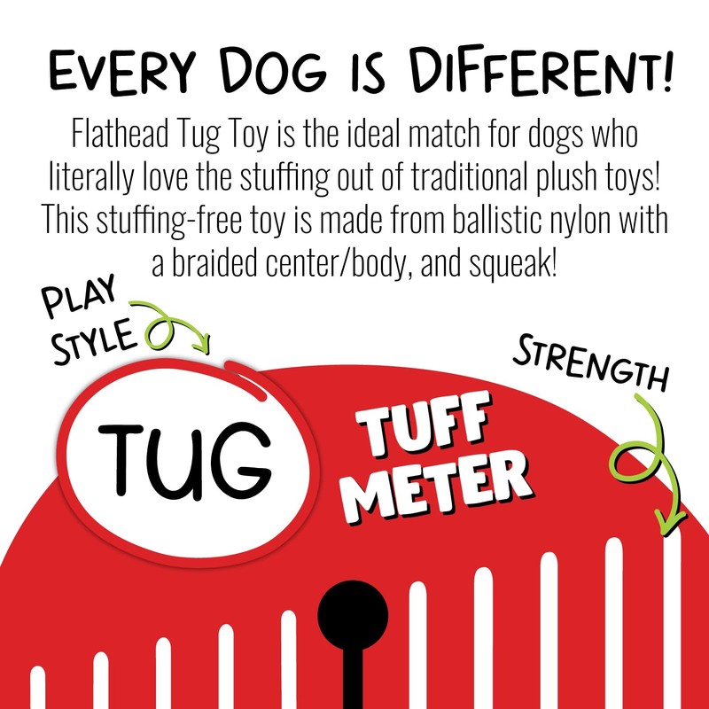 Jolly Pets Animal Flathead Tug/Squeak Dog Toy, Hippo; Small