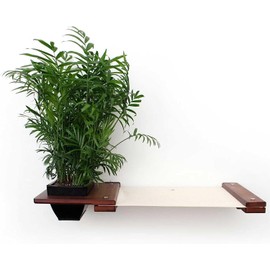 Catastrophic Creations Cat Planter Lounge Cat Hammock — 25-Inch Brown/Natural Canvas— Cat Wall Shelf— Cat Wall Furniture — Cat Climbing Shelves — Cat Floating Shelves — Cat Wall Hammock