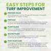 SodPods® Zoysia Grass Plugs for Lawn Repair, 3" x 3"