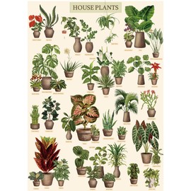 Vintage Houseplant Puzzle 1000 Pieces for Adult, Botany Succulent House Plant Puzzle, 39 Common Indoor Plants Jigsaw Puzzles