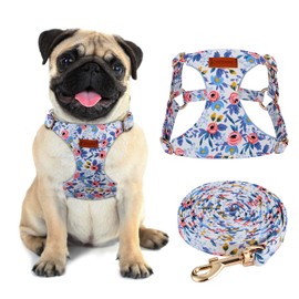 CHEDE No Pull Floral Pattern Dog Harness- Lightweight and Soft Dog Harness, Adjustable Small Dog Harness and Leash Set, with Dog Leash, Suitable for Puppy Small and Medium-Sized Dog (S, Blue Rose)