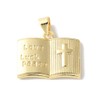 KitBeads 10Pcs Gold Plated Bible Charms Juses Love Peace Luck