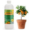 𝐏𝐑𝐎𝐅𝐄𝐒𝐒𝐈𝐎𝐍𝐀𝐋 Liquid Silica Plant Supplement - 32oz - Mandarin Trees