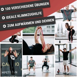 Via Fortis Premium Resistance Bands + Exercise Instructions and Bag - Resistance Bands, Pull-Up Band and Pull-Up Aid, Fitness Band, Training Bands for Fitness & Strength Training