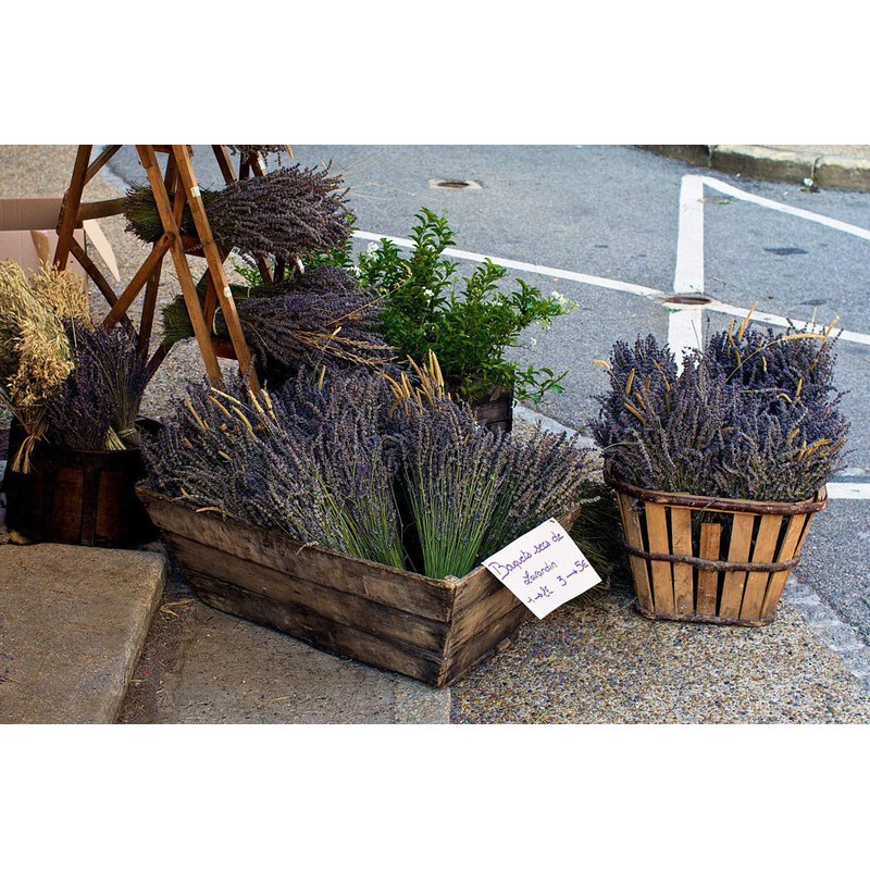 TooGet Natural Lavender Bundles, 200 Freshly Harvested Dried Stems Lavender