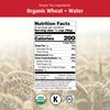 Organic Felicetti Lumache Pasta Italian Non-GMO 16oz (454g) 2 Pack