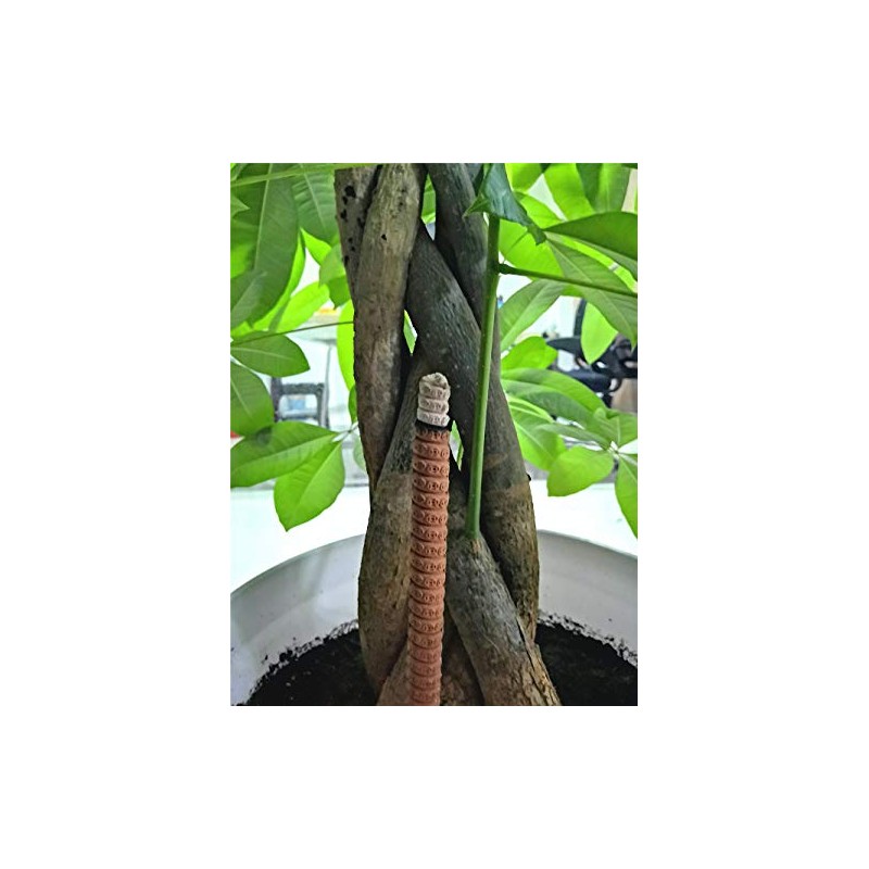 Sandalwood Incense Sticks joss Sticks Long-time Burns (105 Pack 4