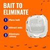 Terro T334B Liquid Ant Baits Indoor - Terro Ant Trap