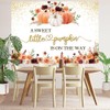 Tcoyodw Fall Pumpkin Baby Shower Backdrop 7x5ft A Sweet Little