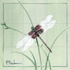 Ceramic Backsplash Tile Mural Butterfly Kitchen/Bathroom - Dragonfly - Paul