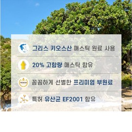 Mastic Mastic Gum Powder Powder Stomach Health Mastic Large Capacity 200g Bottle Discount Price / 매스틱 매스틱검 분말 가루 위건강 매스틱 대용량 200g 1병 할인가