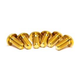Rippin Moto Titanium Front Rotor Bolts (6 Pack) for Sur-Ron & E-Ride PRO Gold