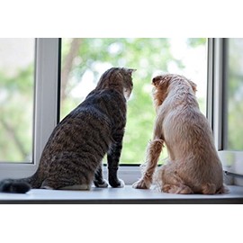 dog calming bites - PREMIUM RELAXANT FOR PETS - DOGS AND CATS - ANXIETY RELIEF AND CALMER - TREATS - dog anxiety relief treats - 90 Treats (1 Bottle)