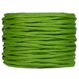Super Bird Creations SB50022 Colorful Twisted Paper Cord Rope 3/16" Diameter for Crafting & Bird Toys -100 Meters (109 Yards) - (Green)