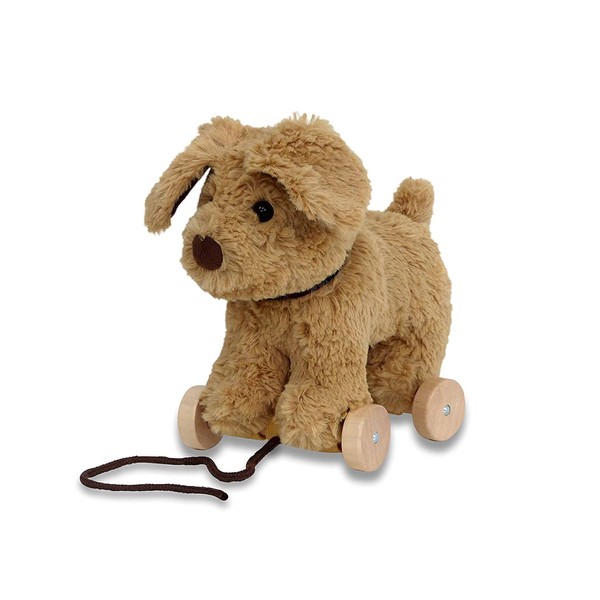 Little Bird Told Me - Dexter Dog Pull Along Toy