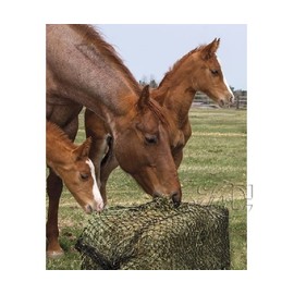 Hay Chix Small Bale Hay net 1 1/4 holes S114