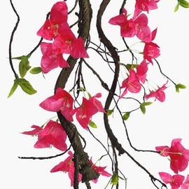 70 Inches Bougainvillea Tree Vines Artificial Flowers Rattan Branches with Silk Bougainvillea Long Trunk Hanging Liana for Home Wedding Garden Wall Background Decor (Bougainvillea Vine - Pack of 2)