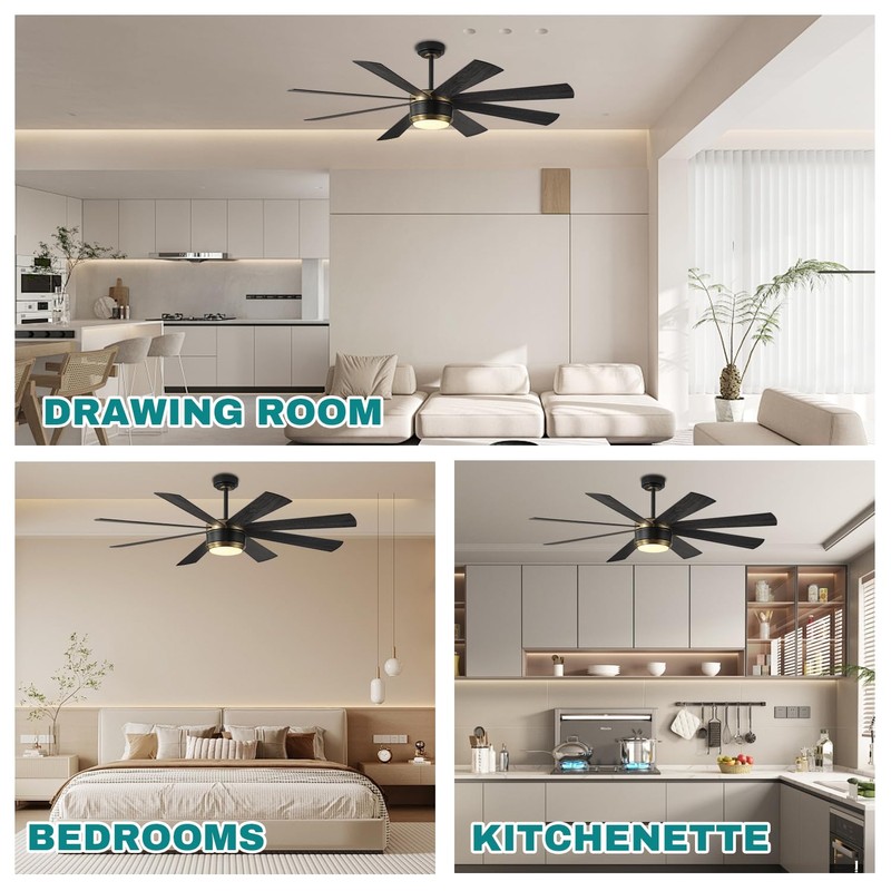 SHOWDI Ceiling Fan with Lights and Remote Control, 8 Blade