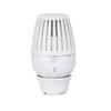 GIACOMINI Thermostatic Radiator Head with Liquid Sensor R460X001