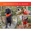SPOT THE DOG! Reflective Dog Bandanas - High Visibility Safety