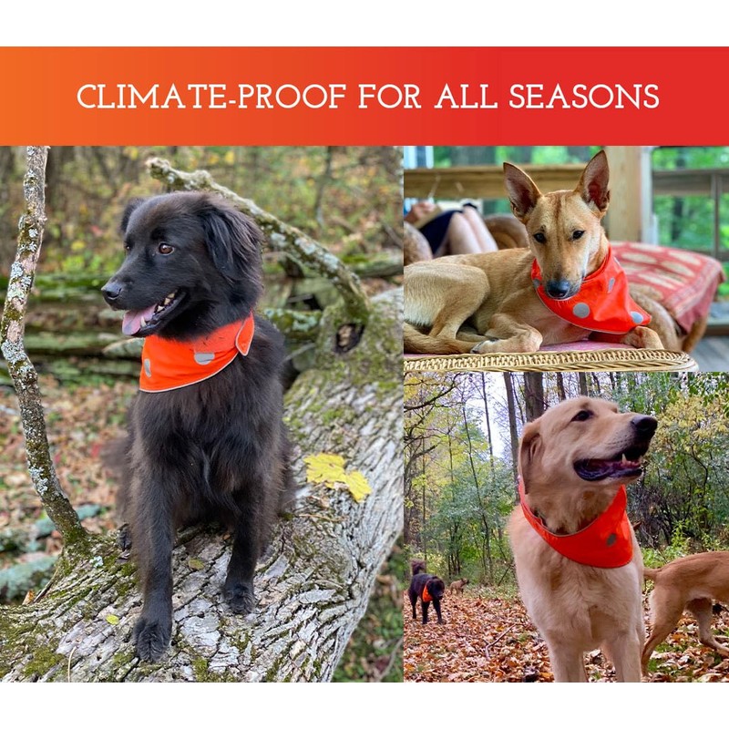 SPOT THE DOG! Reflective Dog Bandanas - High Visibility Safety