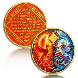 Phoenix Rising 10 Year Sobriety Coin, Addiction Recovery AA NA Chips Medallion with Token Capsule, Narcotics Anonymous Sober Anniversary Milestones, Sobriety Gifts for Men Women
