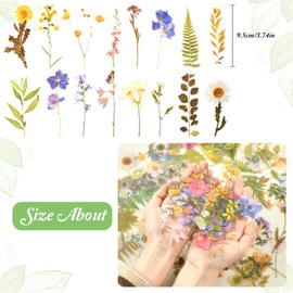 Flower Sticker Decals, 160 Pieces Stickers Flower Stickers, Flower Stickers, Transparent Plant Stickers, Scrapbooking Flower Stickers, Vintage Colourful Flower Stickers, Flowers Stickers