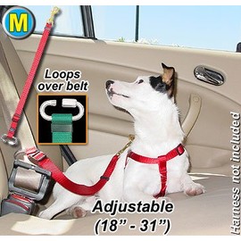 Seat Belt Tethers - Medium - Blue - Tether your pet in the car