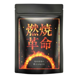 燃焼革命 ブラックジンジャー サプリメント サプリ カプサイシン L-カルニチン 厳選11種 30日分