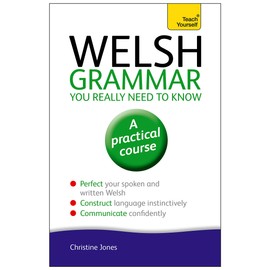 Welsh Grammar You Really Need to Know: Teach Yourself