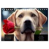 The Funny Labrador Calendar (Desk Calendar 2026 DIN A5 Landscape),