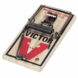 Victor Metal Pedal Mouse Traps ( 24 pack )  Victor Snap Trap Wooden  Mice Traps