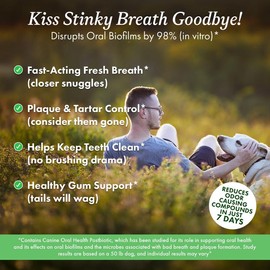 Other Half Doggie Dental Oral Health Powder - Bacon Flavor, 20 Scoops for Dog Breath Freshener, Plaque Remover, Tartar Control & Postbiotic Formula