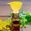 TEHAUX 10pcs Small Plastic Funnels, Small Funnels for Filling Bottles,
