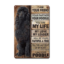 Ymyoo Metal Sign Tin Sign Vintage Wall Art I Am Your Friend Gift for Poodle Black Lovers Vintage Wall Art Prints Decor Outdoor for Restaurant 8 * 12inches