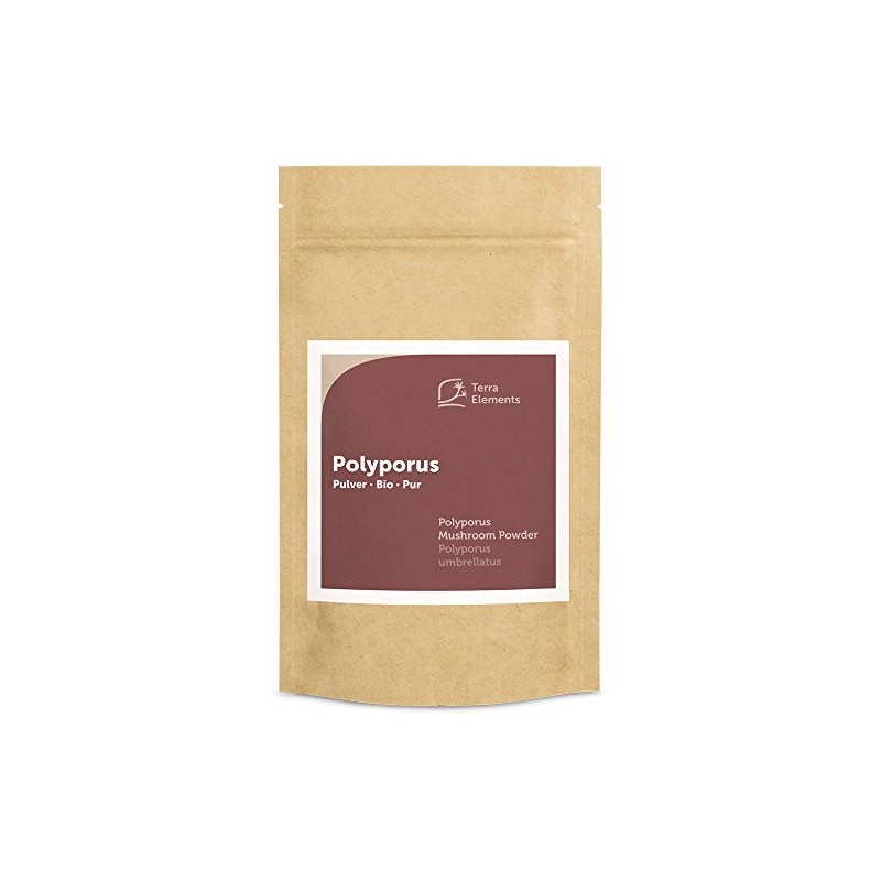 Terra Elements Bio Polyporus Pulver 100 g I Zhu Ling